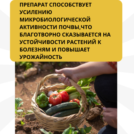 Средство Микорад INSEKTO 1,3 Lecanicillium lecanii для защиты растений от клещей тли белокрылки 50 г