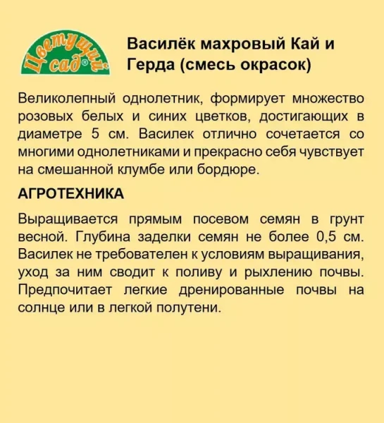 Семена Василек Махровый Кай и Герда Цветущий сад