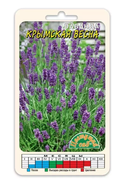 Семена Лаванда Крымская весна Цветущий сад