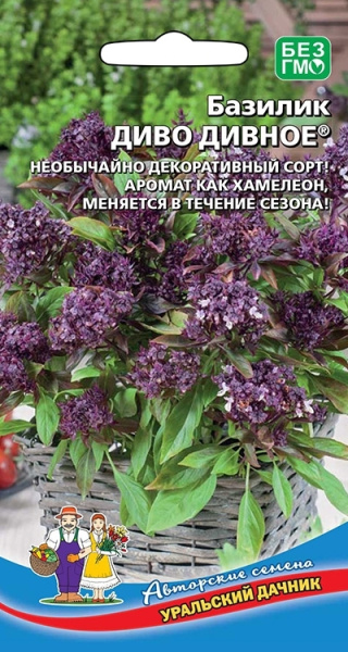 Семена Базилик Диво дивное Уральский Дачник Семена Базилик Диво дивное Уральский Дачник