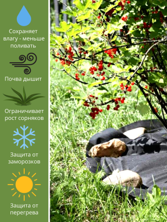 Приствольный круг с УФ чёрный 60 г/м2, 80 см, 10 шт