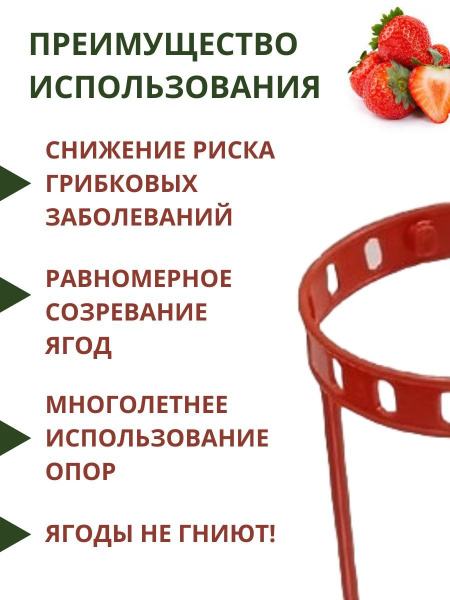 Подставка опора Кольцо для растений и клубники 14,5х 34,5 см 40 шт