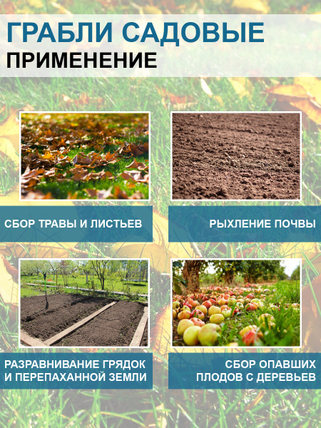 Грабли садовые прочные 25 см без черенка Благодатное земледелие (Товары, которые скоро пропадут из магазина) Грабли садовые прочные 25 см без черенка Благодатное земледелие (Товары, которые скоро пропадут из магазина)