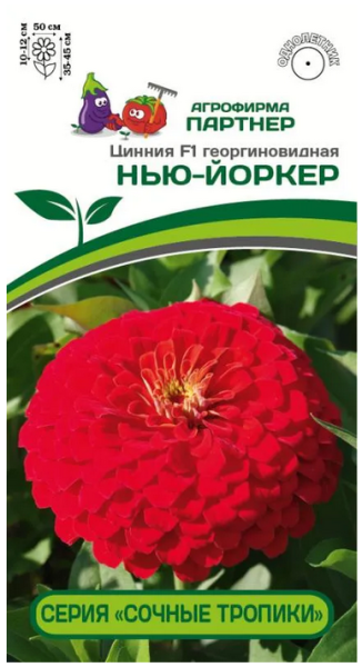Семена Цинния F1 НЬЮ-ЙОРКЕР / георгиновидная 4шт Партнер 2-ной пак