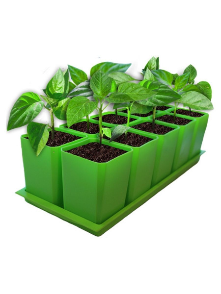 Набор горшков для рассады 10х0,75 л зеленый