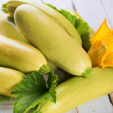 Семена Кабачок Северный вариант 5 шт Сибирский сад