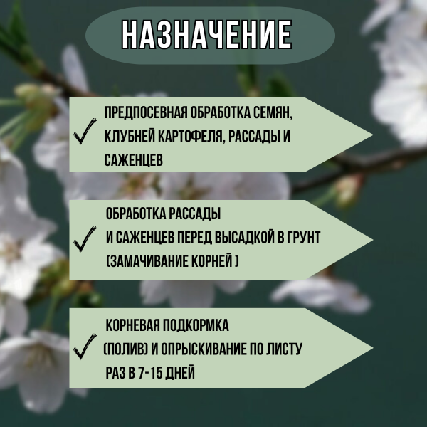 Биоазот Биокомплекс-БТУ 500 мл