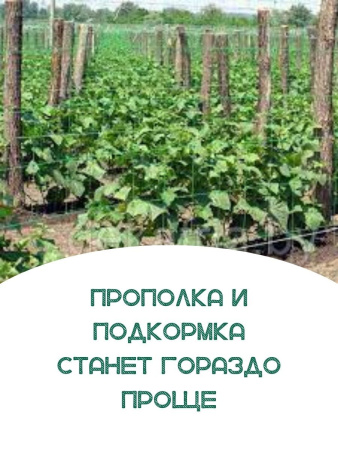 Сетка шпалерная 2x10 м размер ячейки 15х17 см зеленая LISTOK