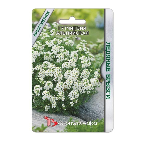 Семена Гутчинзия альпийская Ледяные брызги АГ Биотехника Семена Гутчинзия альпийская Ледяные брызги АГ Биотехника