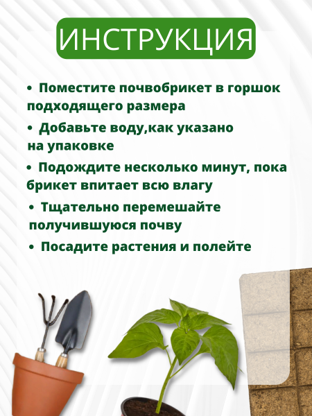 Почвобрикет Яркая бегония 5 л БиоМастер, 2 шт Почвобрикет Яркая бегония 5 л БиоМастер, 2 шт