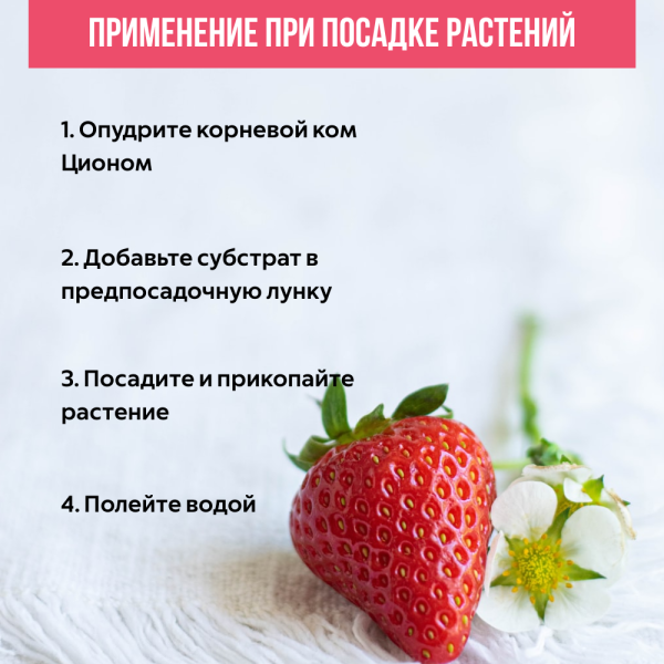Удобрение Цион для клубники саше 30 г Удобрение Цион для клубники саше 30 г