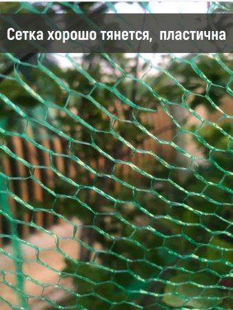 Сетка от птиц зеленая 4х5 м