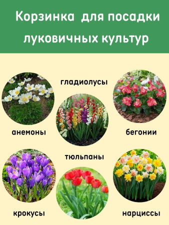 Корзина для луковичных круглая набор 15 шт Корзина для луковичных круглая набор 15 шт