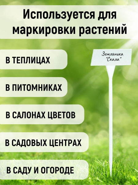 Таблички для растений большие комплект 50 шт