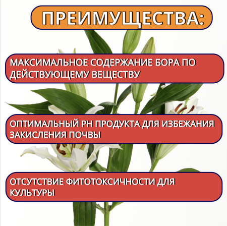 Удобрение хелатное Agree's Бор для стимуляции роста и питания 1 л