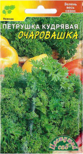 Семена Петрушка кудрявая Очаровашка Цветущий сад