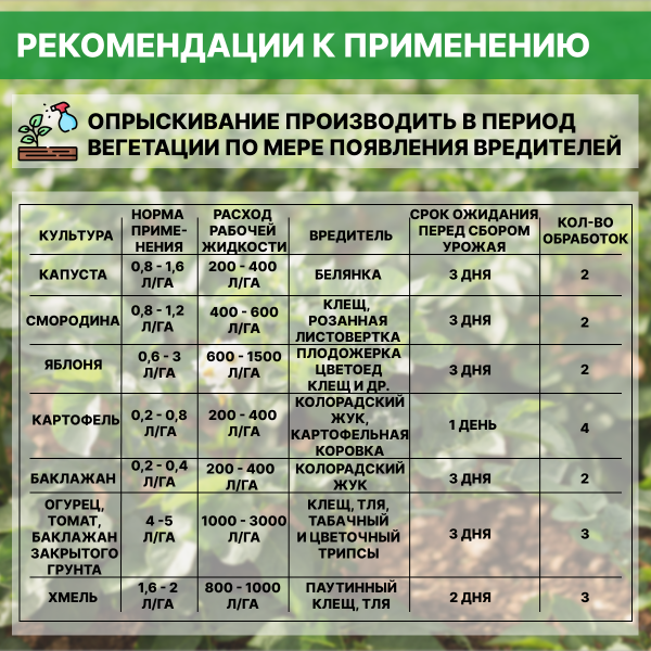 Средство защиты растений Фитоверм М 2 г/л КЭ 1000 мл Средство защиты растений Фитоверм М 2 г/л КЭ 1000 мл