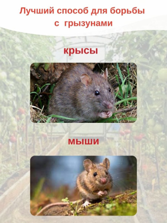 Сульфуратор ПС 1 Гвоздика