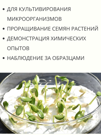 Чашка Петри пластиковая 3 секции D-90 мм