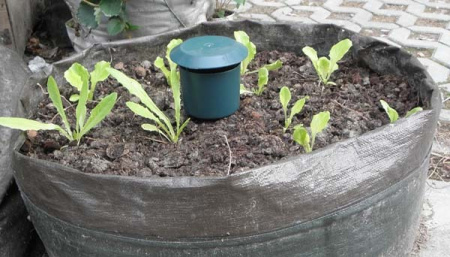 Ловушка для улиток и слизней 2 шт