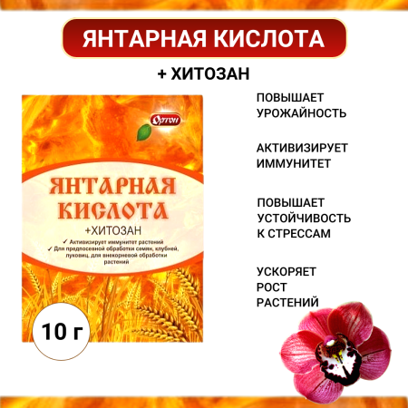 Янтарная кислота + Хитозан 10г