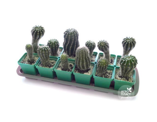 Набор для рассады 18 стаканчиков по 150 мл с поддоном Урожай-18 мини Набор для рассады 18 стаканчиков по 150 мл с поддоном Урожай-18 мини