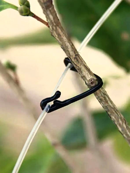 Держатель фиксатор садовый для подвязки растений Лоза 100 шт