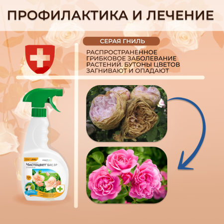 Спрей Чистоцвет БАУ от серой гнили, пятнистости, мучнистой росы 700 мл