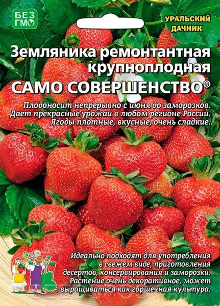 Семена Земляника Само совершенство - ремонтантная Уральский дачник Е/П Б/Ф