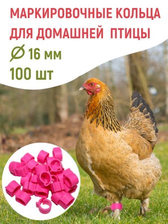 Кольцо маркировочное d-16 мм для кур 5 цветов 100 шт