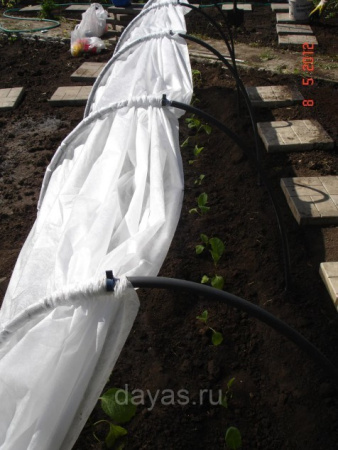 Парник Боровик 4 м