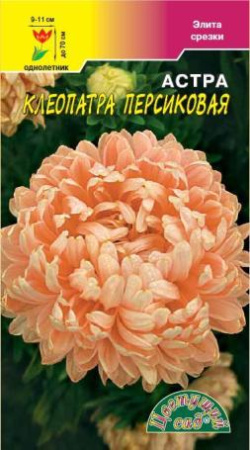 Семена Астра Клеопатра Персиковая Цветущий сад