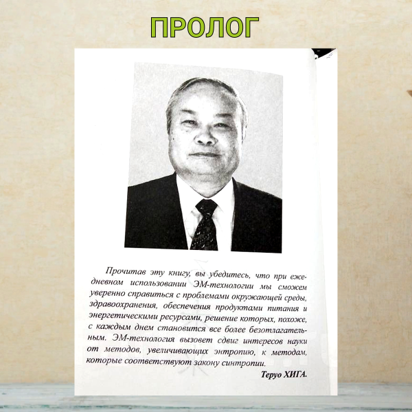 ЕМ-1 Возрожденное будущее книга Тероу Хига