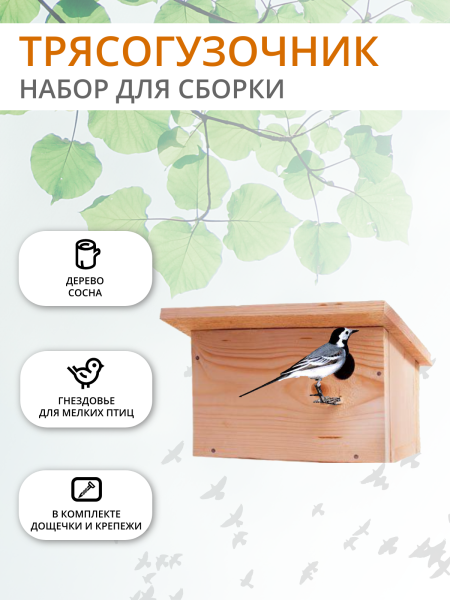 Трясогузочник для сборки конструктор