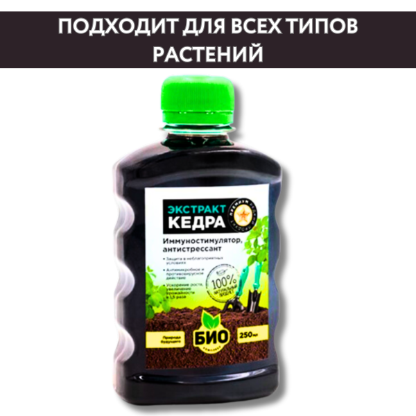 Экстракт Кедра 0,25 л