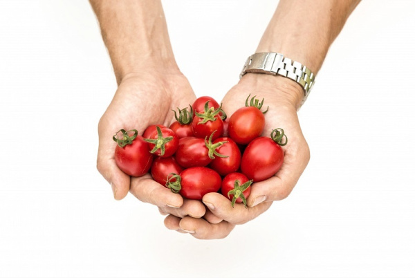 Семена Томат Черри Элизабет F1 10 шт Партнер