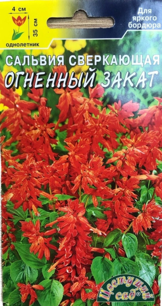 Семена Сальвия Огненный закат Цветущий сад