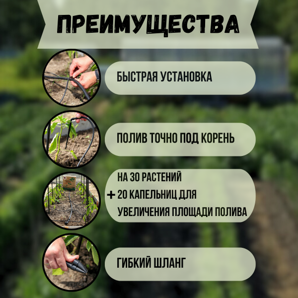 Капельный полив Жук от ёмкости на 30 растений с таймером полива + расширительный комплект