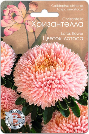 Семена Хризантелла Цветок лотоса АГ Биотехника