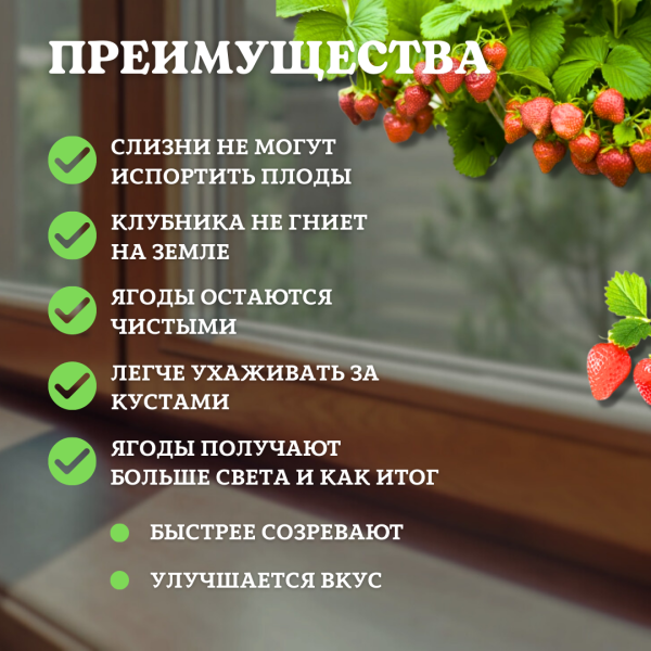 Подставка опора Рогатка для растений и клубники h 24 см, 10 шт Благодатное земледелие