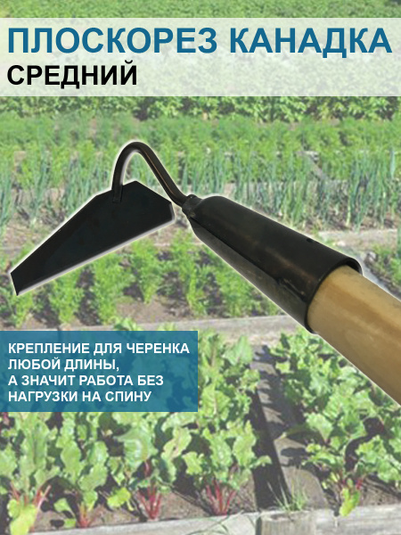 Плоскорез Канадка средний 12 см без черенка