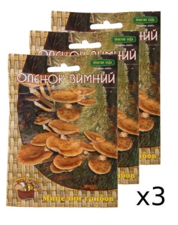 Мицелий грибов Опёнок зимний на деревянных палочках 12 шт, 3 шт