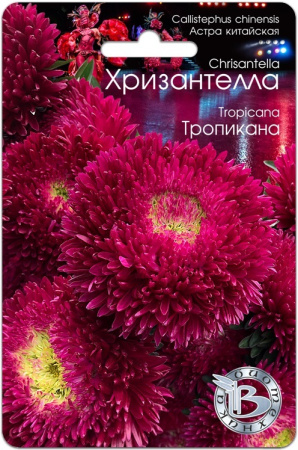 Семена Хризантелла Тропикана АГ Биотехника
