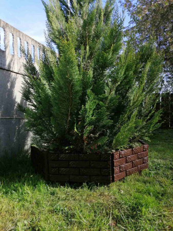 Универсальный садовый конструктор, 4 шт, длина 180 см, высота 20 см, шоколад