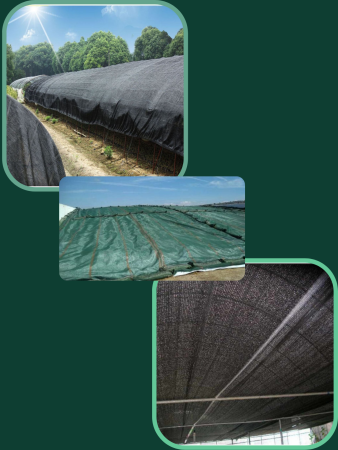 Сетка затеняющая 55 % размером 3х10 м