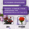 Цветалон для продления жизни срезанных цветов 10 мл