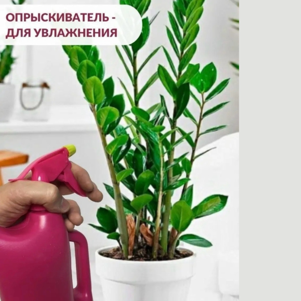 Лейка с распылителем 1 л Розовая Комби Лейка с распылителем 1 л Розовая Комби