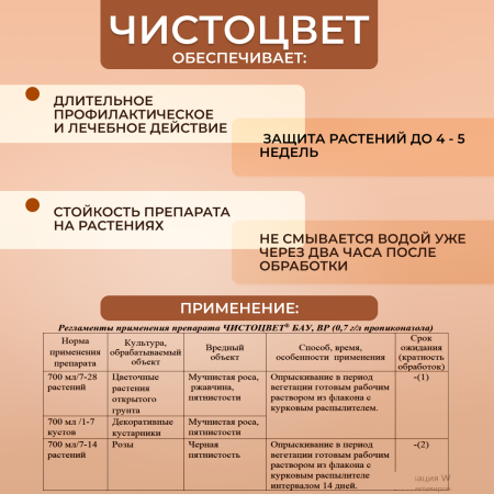Спрей Чистоцвет БАУ от серой гнили, пятнистости, мучнистой росы 700 мл