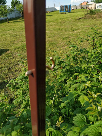 Подвижная шпалера для малины Веер Коричневая комплект из 2 шт PEKGDSM МС-Про