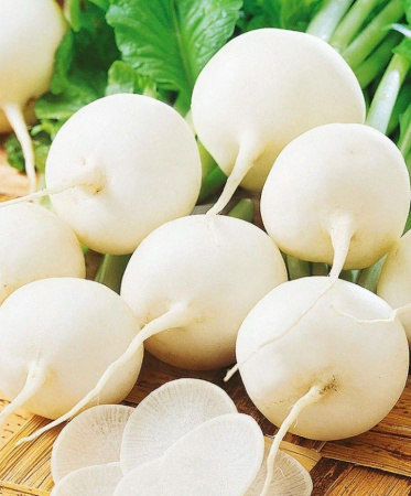 Семена Редис Снежок 2 гр Партнер